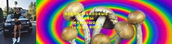 PSILOCYBIN Богданович